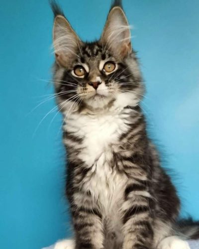 att.Q2ihnpLxXGPrFHA9_Z8LkpaAUCGuOXVwhKFtO9xOwzo