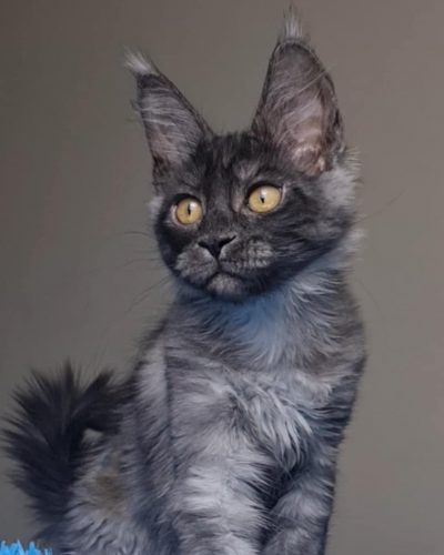 att.QslNOpxpjtfDKeXUSRuxe5BDw7xSyxoZ7sLP2qywT9Q