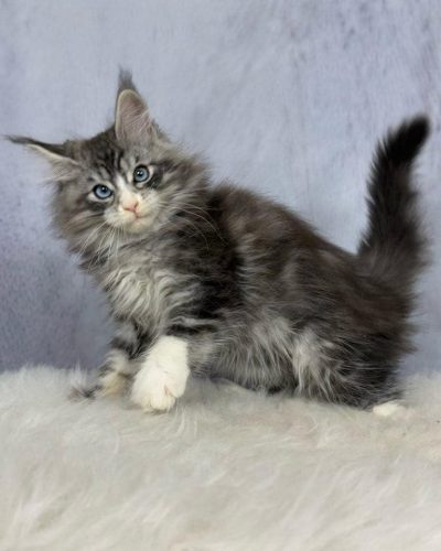 att.THZcFmpwFkZH28_vCJZOla3BqUEi1HY98EW_8XB7bBQ