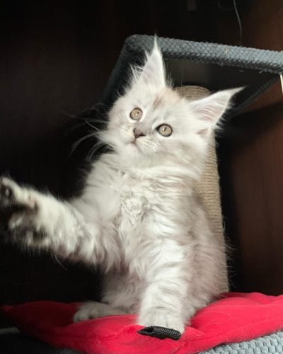 att.U0KhJVMGDep4IYD0SdoAQN3hyWWWVsNe_vw5Hpw4CtQ