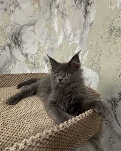 att.UJ6cd8dQQA9tt71XEqrGSutK4AymlZ61zl_LAEe8xdc