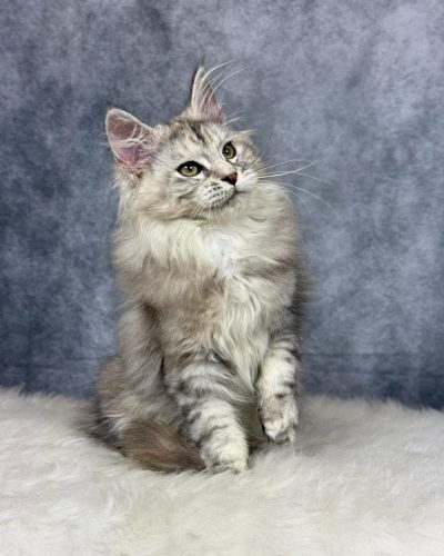 att.V_v48uORUfSCAd8P7UZX_Qbq2_UWq0VnIU55SZolM4k