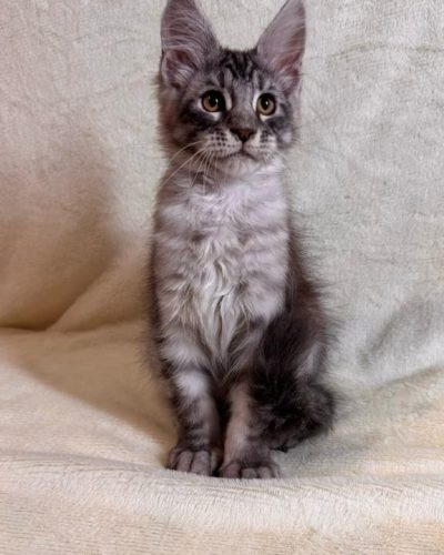 att.WtRYDwwVSInNBx49wGUUeRMZsqKqcqGERQ_33wOMOq8