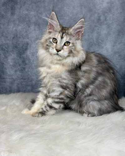 att._-MlRfACavBK7rXzQxO8c3w5T1fC-m9DuBS1bBsncsQ