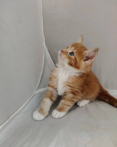 att._M_f3wvIRToL9XvIZY545RfpJq6W6CM6lnQFm_JHPxU