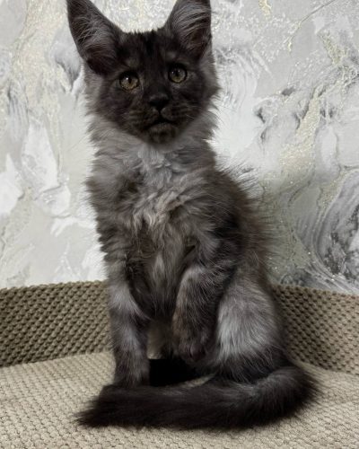 att._u0_Sq65Dbr_R-hQSPRNCOcP9mTGY4I6LUszW8vopio