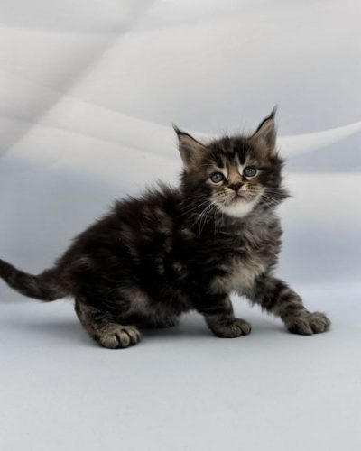 att.a22a36wFdam_sAVj3LDJdgOPaLfCFWDhQVlSNHCs5Mc