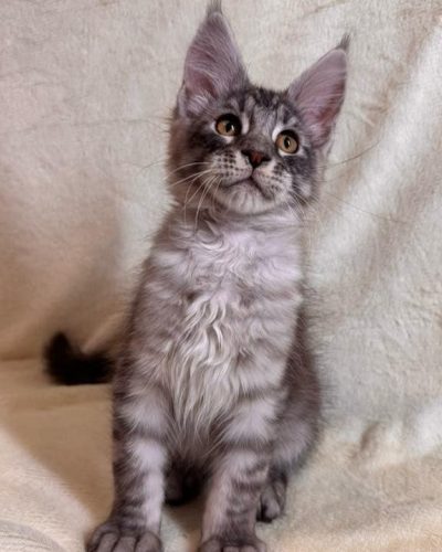 att.ak4o0LywxeKzcBPF9ssZV3jVWhon5Bfq63yPabshXfk