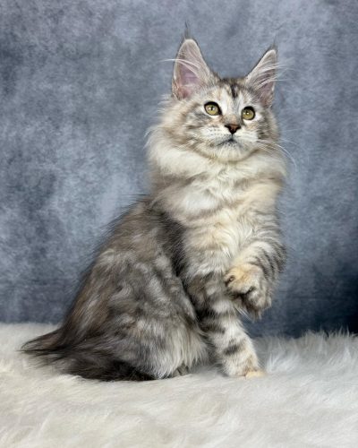 att.cEN2_fnWIH1uidN5nuJS20epfnOiuX5DA-h4hngrR2U