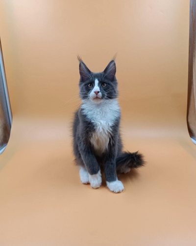 att.cL9WfTN1u06P7rDyAoZhtEcuIwkq8J4iBdCpKVN3DFA