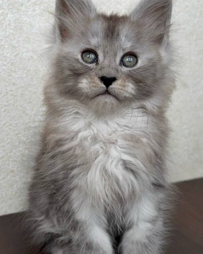 att.eMu8hBt7Bp2V4kJhXSH9IWv6mDjtE_Pjock5uRXv_Lo