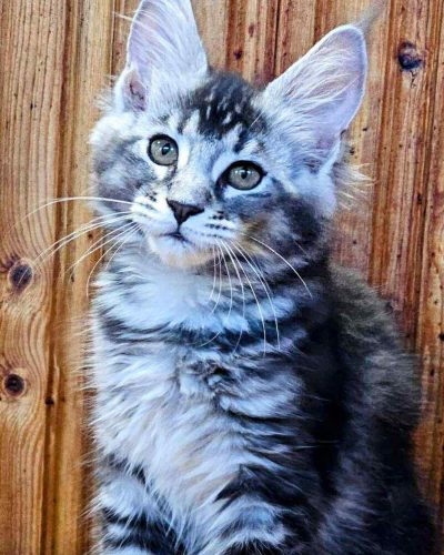 att.gvdFxWfcKHRQbb8TOZcz8FXqLUlDiOeyq93uRxfvaIs