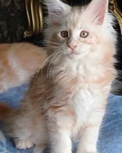 att.h22XdF6rPDC-zjSADIFad1xZb0R5e4-naILWZq3ne9M