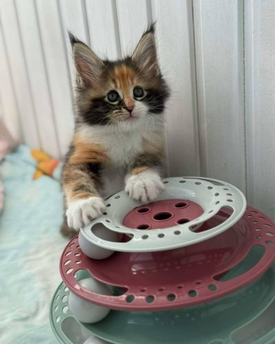 att.iBfQyAB3E3R9JLGQNffT5fX9pyWBbBkaxL7sFu6ArQk