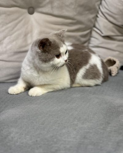 att.ifKaQRp9e_eF50JzXyI5RCQ-yGPpofv11H5JsG2jzpw