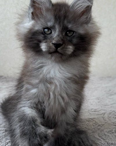 att.jFLEysvEluhpzqmE1JrPasI1gsVRZ_QTDeks-Tid25c