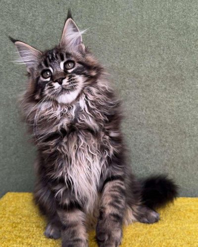 att.jsOLcBwlP2f0fup2ggMzNUSNn8_v8YB7H0086a2y6j4