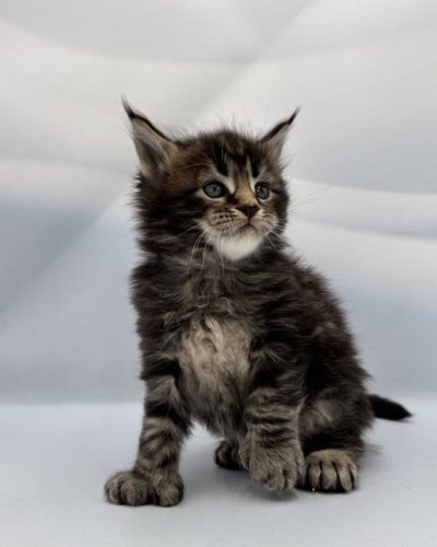 att.kZquq_25LRdFc-8TgzwlJcrYslcVamHAJ90jXVqbpVY (1)