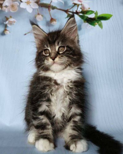 att.ne6tr_4ofrXvicMpsaMgHvx101SuM0Ervv1_N2BqKrE