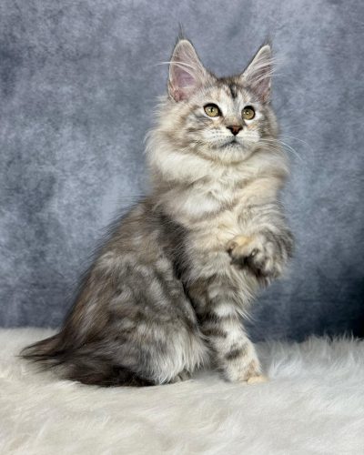 att.q-mjPWksysuAQLELcjic4AUcb0dW3-UsIv-Z3CD3xVA