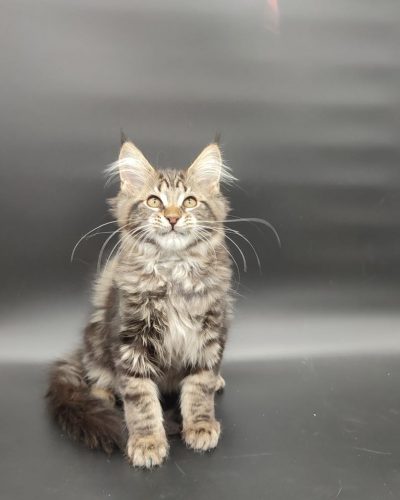 att.ue-K_1uFEtIfsT-UbvZuUTShGIQdVe_Jf8GL7bXivlU (1)