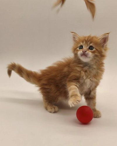 att.uvVB_hKPxw7o1jg3_TWFTdYpboKOuH2f8CHkkhmWSYc