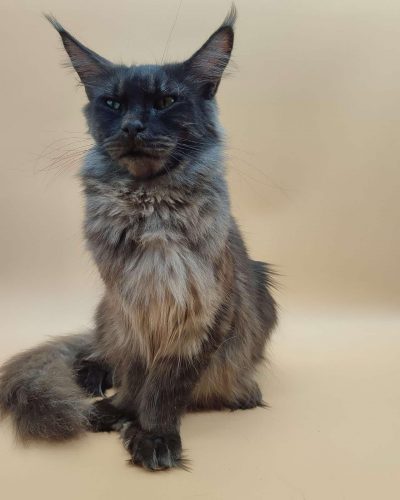 att.wIekmkIJm0YOoDlGvaLKQzIT_d46ZbzRQ9-6VkHcRYg