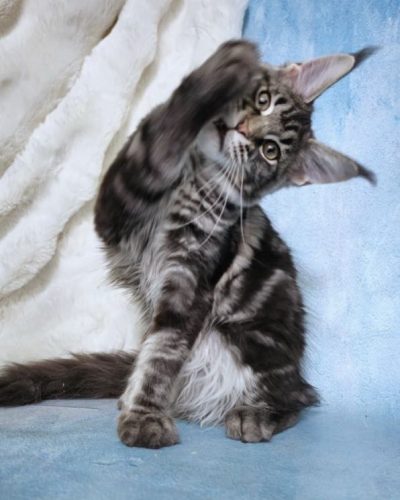 att.xbLKjfZ93GxgUVXN0o0o8Hlx8oc5Ar96boh_mBu7Llc