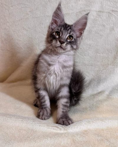 att.xg4lo4sLcT49izZWq1o0-bET8tKWs6wJxv24WPPc7kw