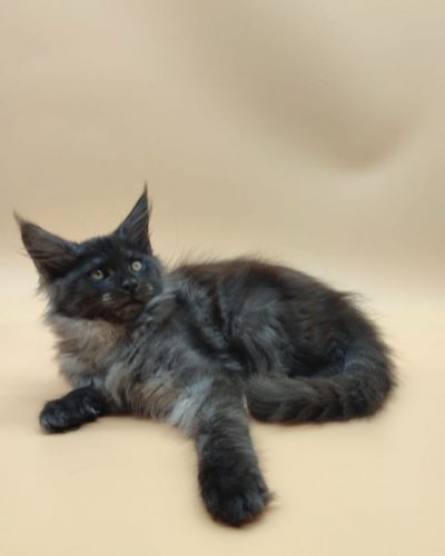 att.yVwiHGJBS1YuDFnyhLZcZWm82067SlwGHuJaA5qkvU4