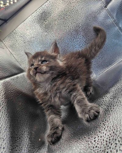 att.yoEjGy1TLmgxTZeCQPYuvrx5FRdNWODJyCHGEsLcZPo