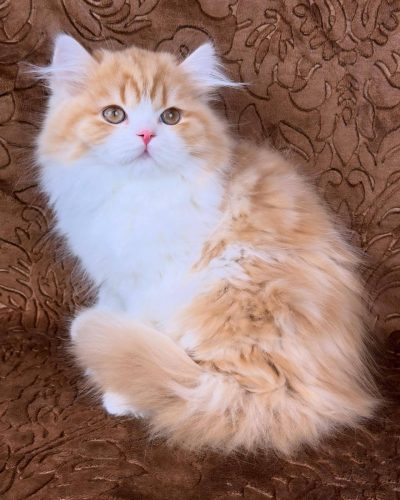 att.yxgKPL3ar-h3kORDotecCwkMEqlCfue1ed3UZVcX-IE