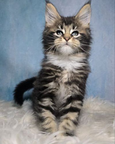 b03aba4b-5382-4310-b896-c1e1596be640