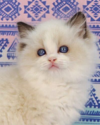 b0f980e1-7212-474c-bf9c-2feaa345e814