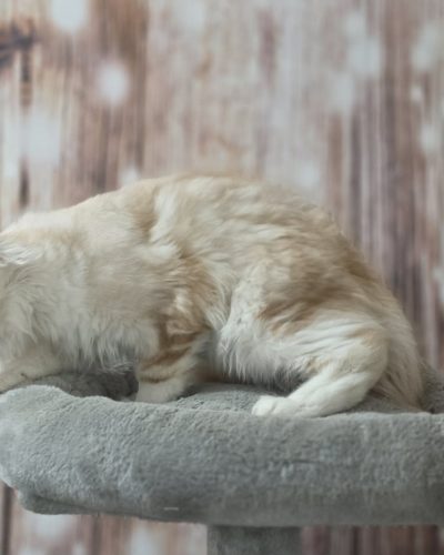 ba1d7ca6-3c28-4588-a337-1f0139536a12