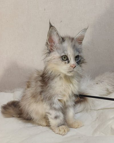 bafe9fc1-6b3e-4866-8647-849238dcde43