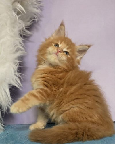 bc3f5e20-f71d-440d-9b88-8cb6832ee331