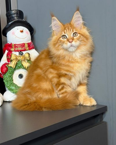 bd396f11-d0f9-4460-b971-1bf8a27cbcef (1)