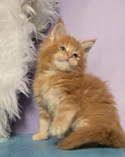 c13f27db-bd81-4681-9d5f-cd2b9db22afb