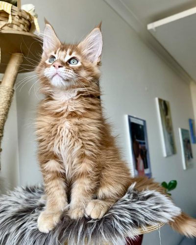 c24837f0-6997-48e3-8039-f47442c4d0f3