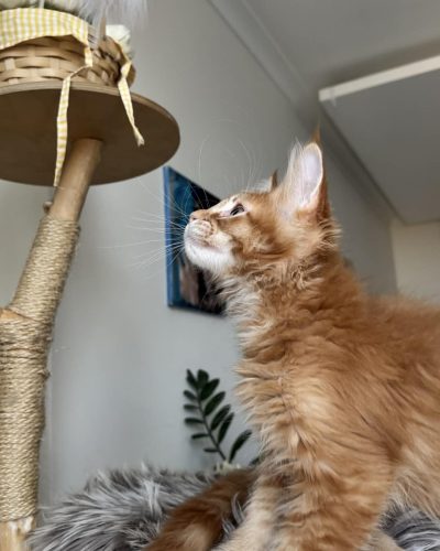 cf7827be-1ce4-4337-ba7d-2aced65f3454