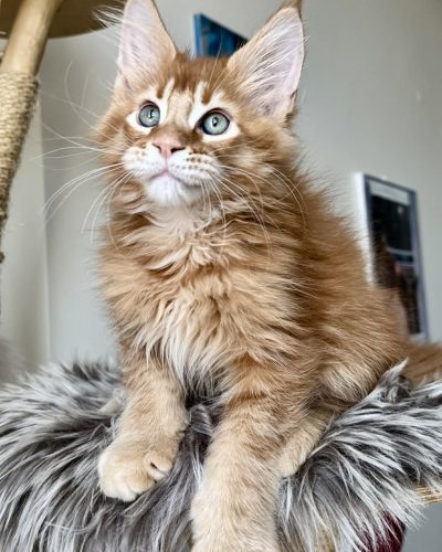 d4030df8-4563-48be-a3df-34dde34d362a