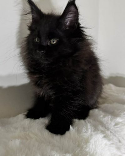 d6a0622e-a256-46dc-a5eb-f34c47f577c4