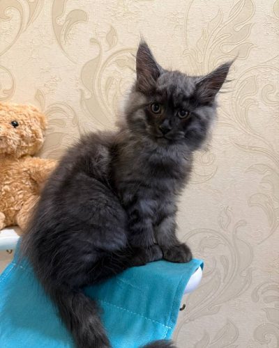 d78c1501-16e4-4064-bf04-b6d8e0034845