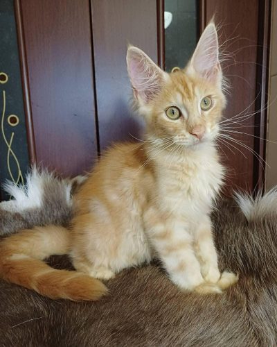 dc1a802e-dd42-4020-aa3d-20818acc7a7a (1)