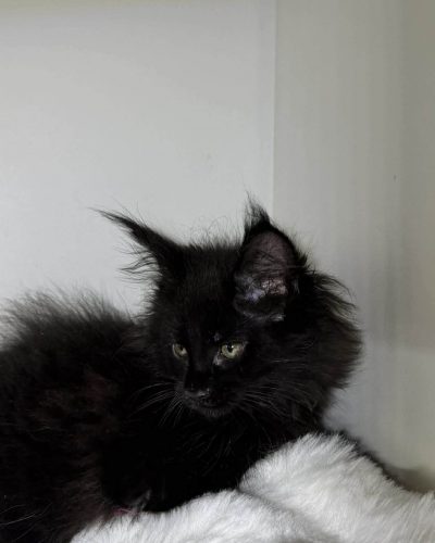 e221bc6e-5707-4bf2-91fc-32f82888c42c