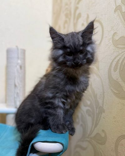 ebc03d4a-4b22-4dd4-adb1-b07b5835c52d