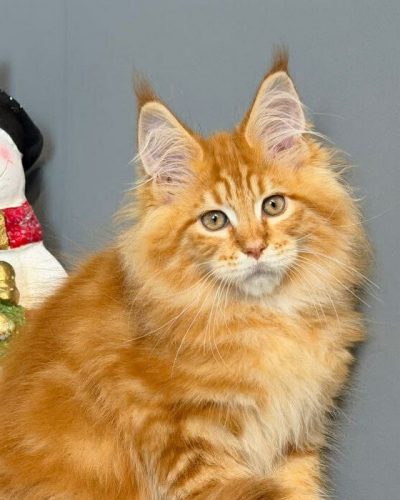 ecf8f1c4-b91f-4353-bb8e-e304da80909e