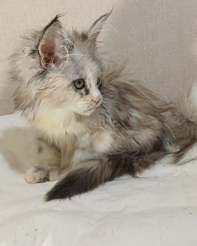 f100a982-a9a3-430b-b292-06e6eea6d1b1