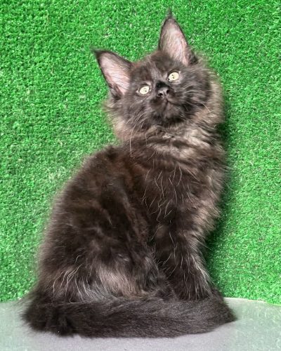 f4ed1737-ba04-45a3-8e6e-99b51b6c721b